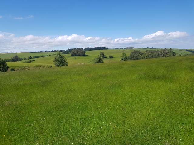 Four Mile Creek Road Balclutha_1