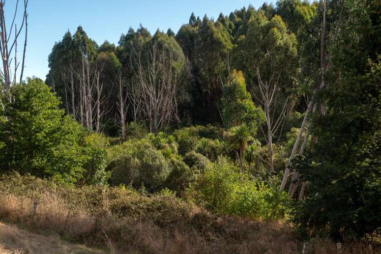 Lot 2/14 Oakdale Drive Kinloch_14