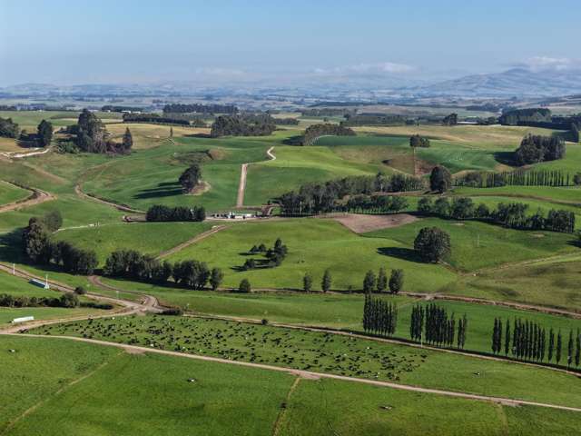 Productive Dairy Farm