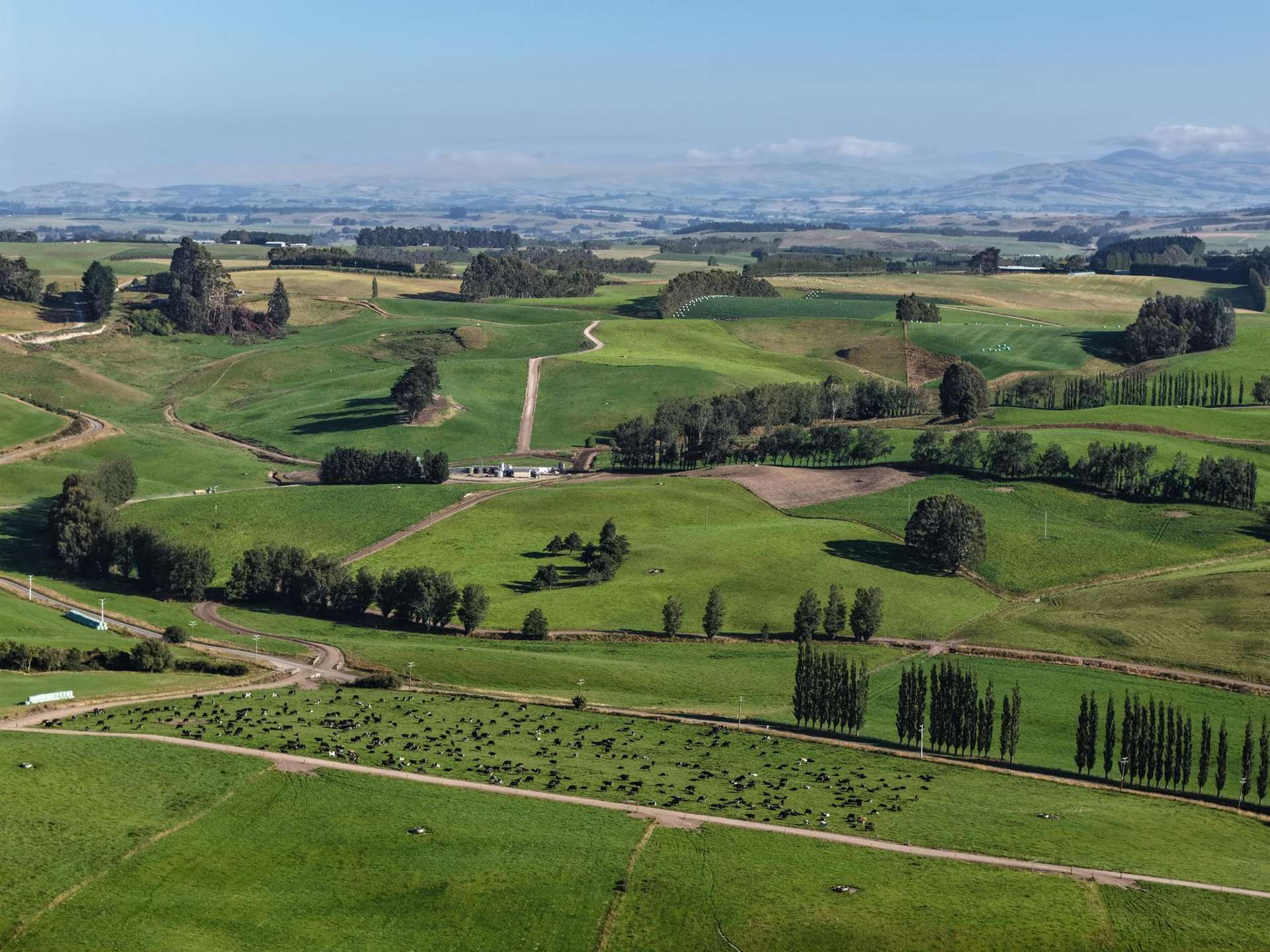 316 McDonald Road Pukerau_0