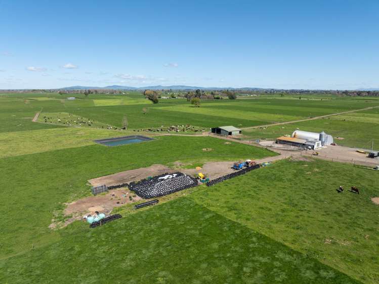 64 No 4 Road Morrinsville_11
