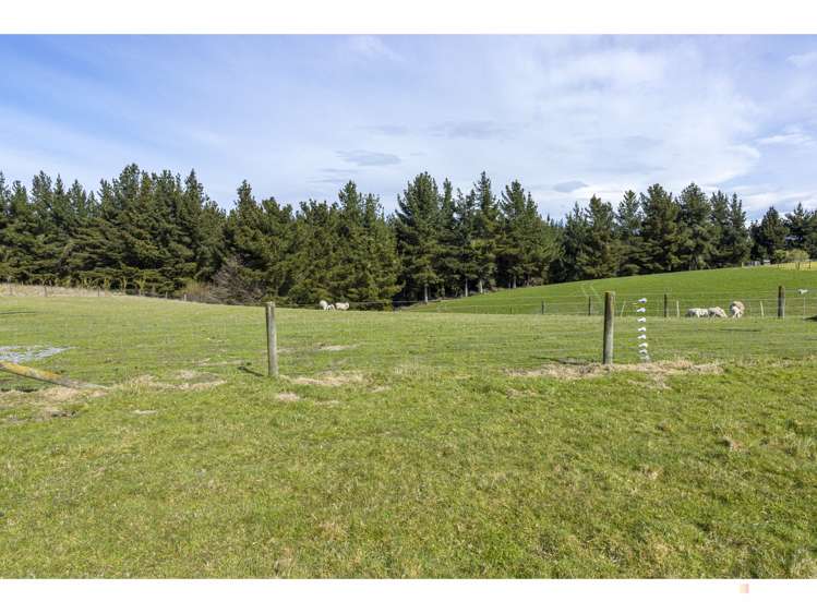 Downs Road Geraldine_2