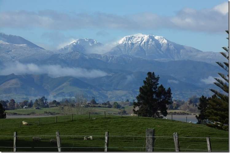 87 Mapua Drive Mapua_4