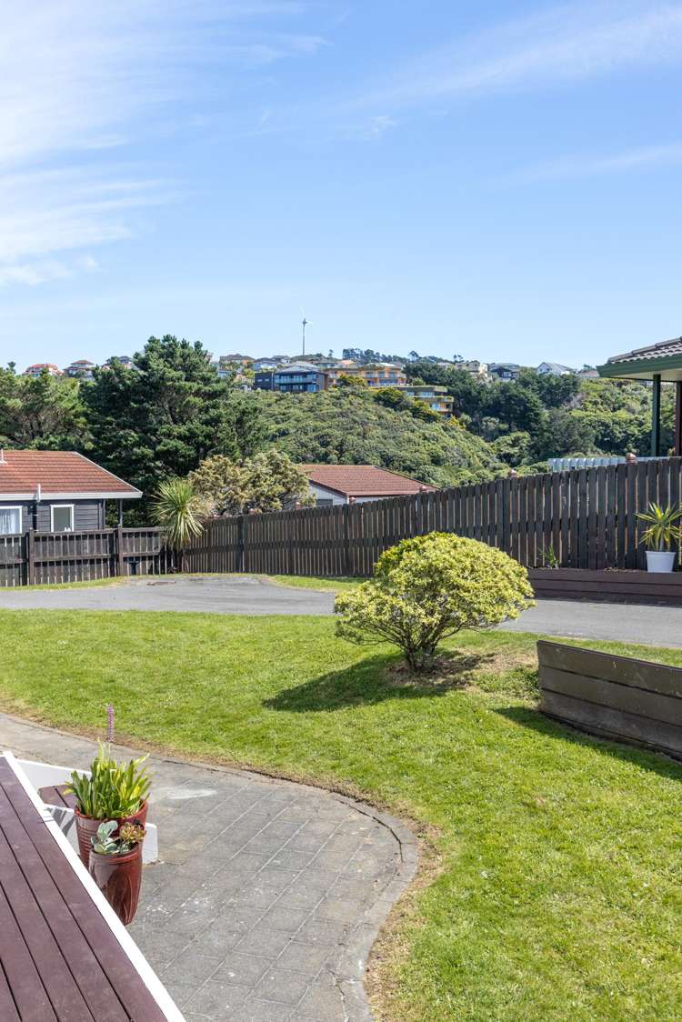 1 Ashton Fitchett Drive Brooklyn_17