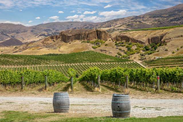 182B Felton Road Bannockburn_3