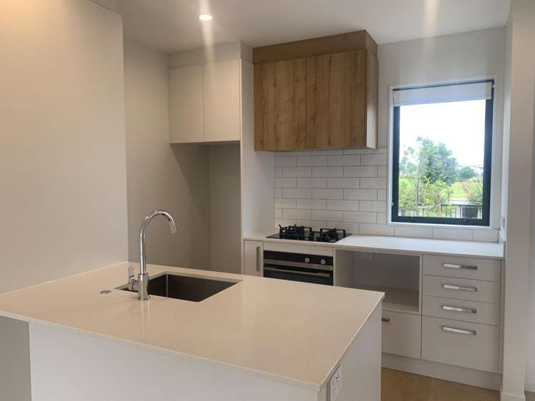 247 PARK ESTATE ROAD "PARK GREEN" Papakura_3