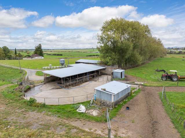 585 Morrinsville-Tahuna Road Morrinsville_3