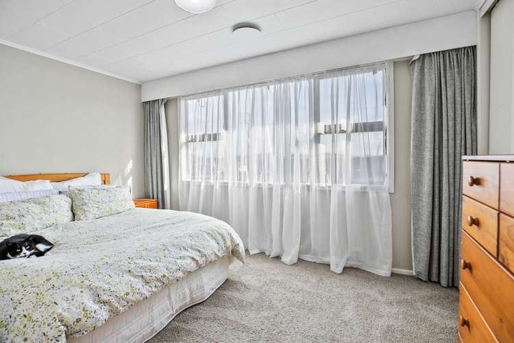 482 Racecourse Road Te Awamutu_7