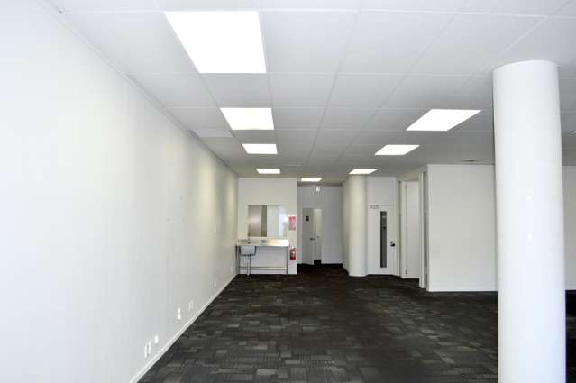 20-24 Crummer Road Grey Lynn_4