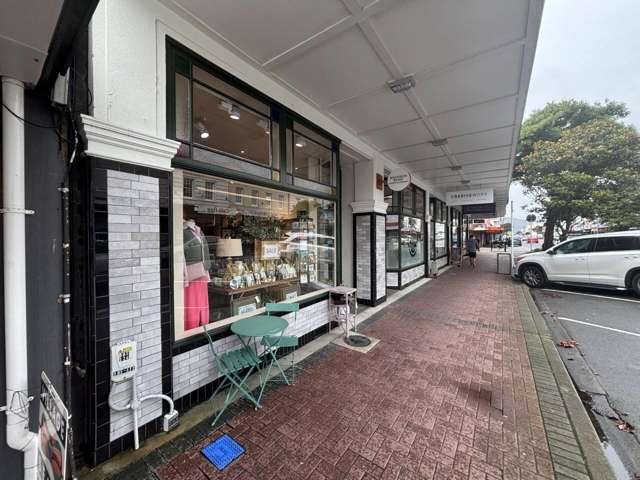 131 Jackson Street Petone_2