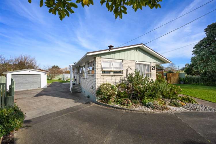 21 Flower Street Bulls_27