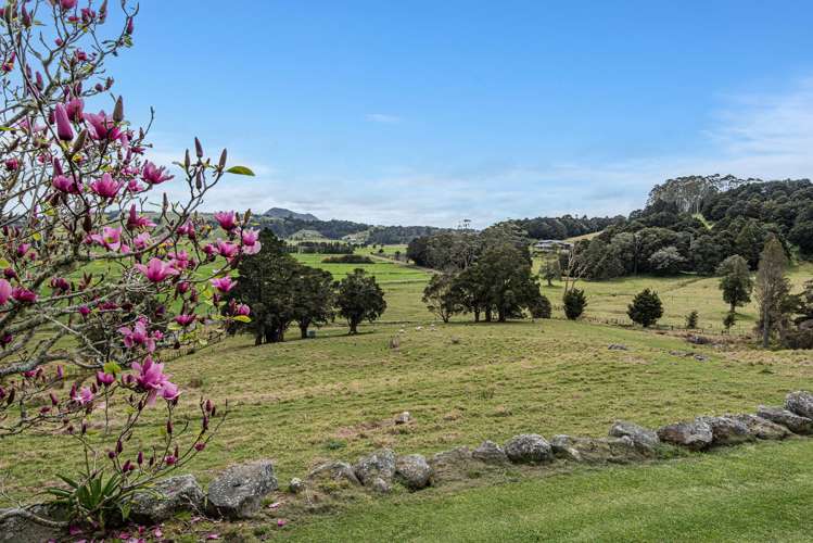 415 Crane Road Kauri_28