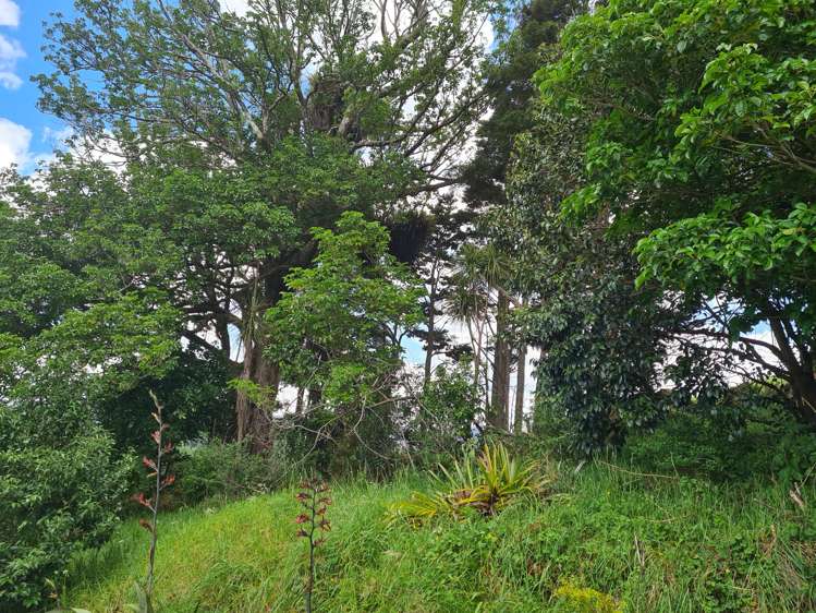 59 Puketotara Road Glenbervie_19