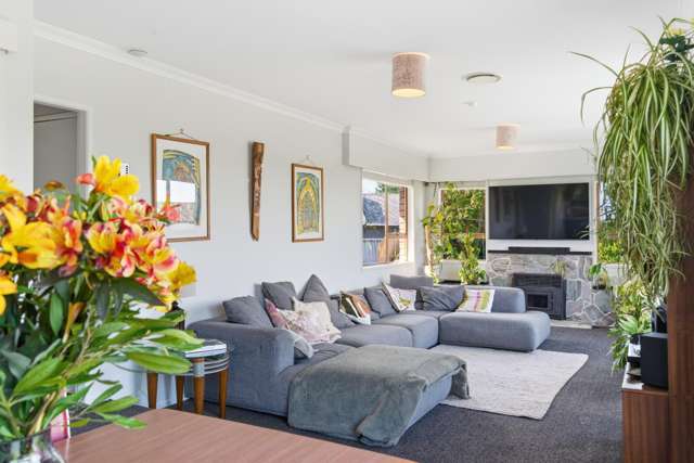 59 Dunlop Road Te Puke_3