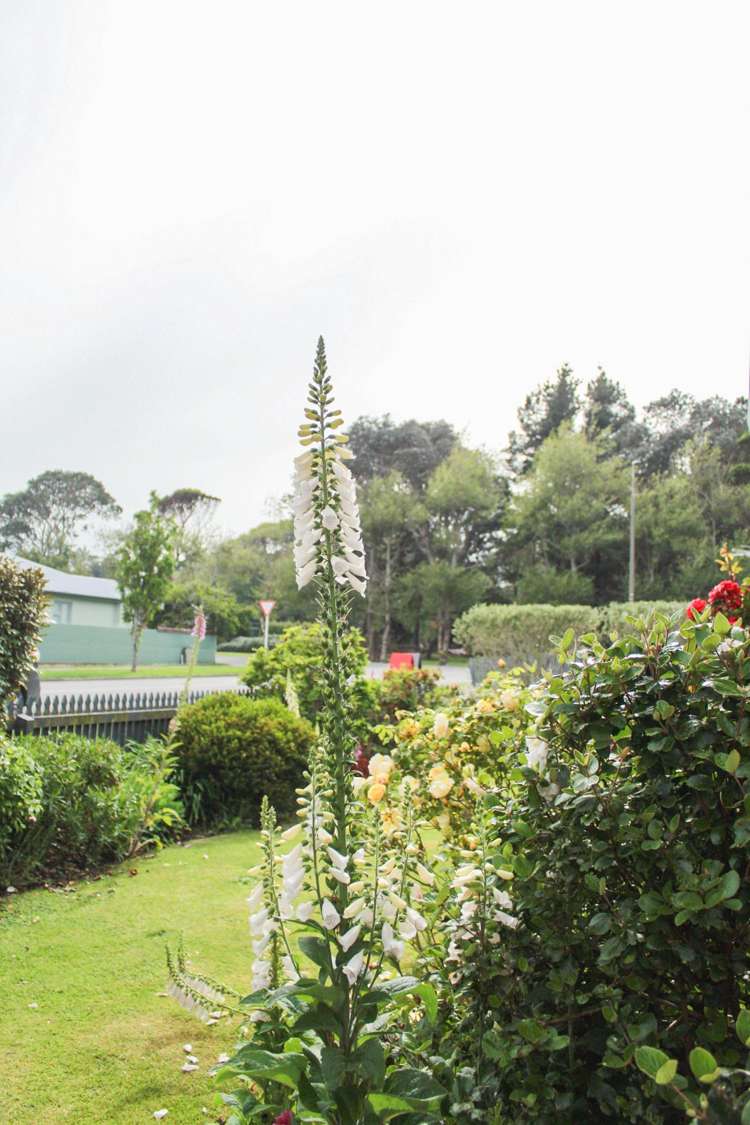 2/107 Fox Street Avenal_19