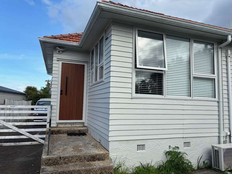 102 Tripoli Road Panmure_9