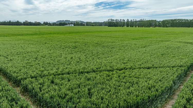 190 Bennetts Road Cust_14