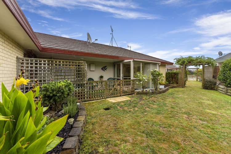 3 Foxtail Fern Kelvin Grove_14