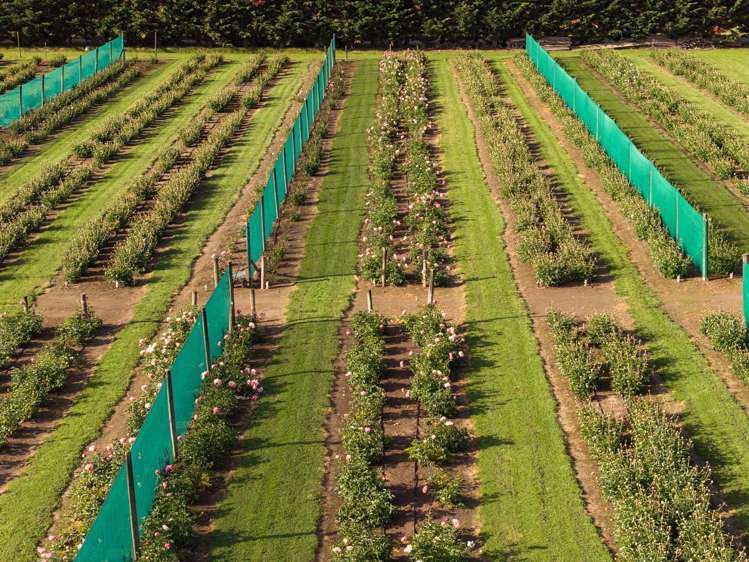 632 Waihopai Valley Road Renwick_10