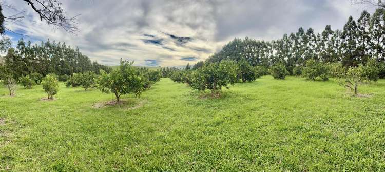 1/69 Vineyard Lane Mangawhai_3