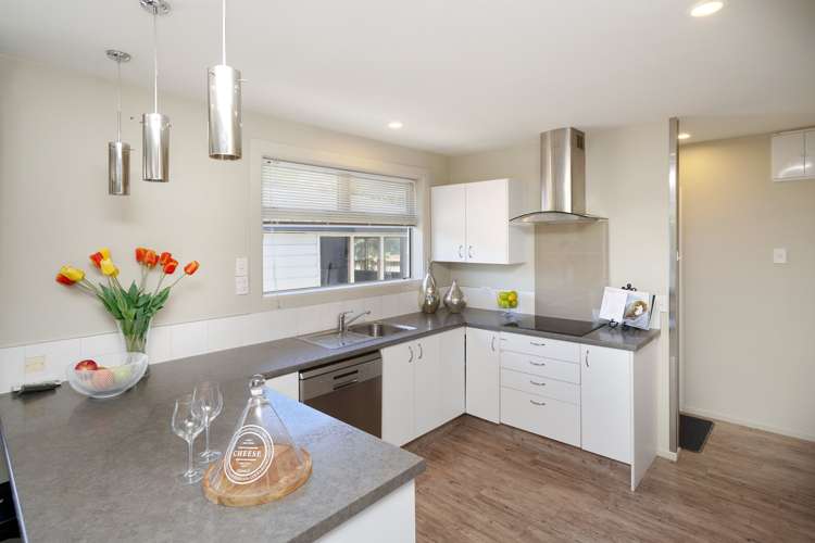 Rockell Road Whananaki_4