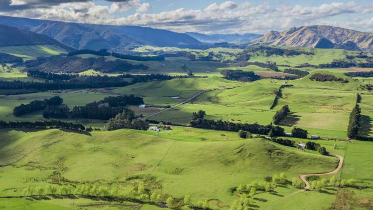 463 Gull Flat Road Central Hawkes Bay Country_16