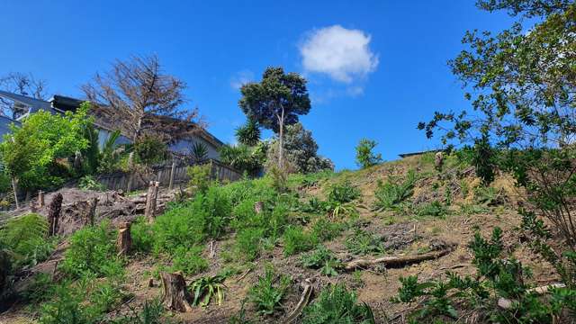 Lot 2 DP51532 Bon Accord Harbour Kawau Island_4