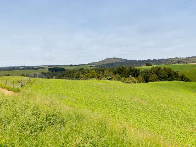 8 Shaw Road Te Ranga_9