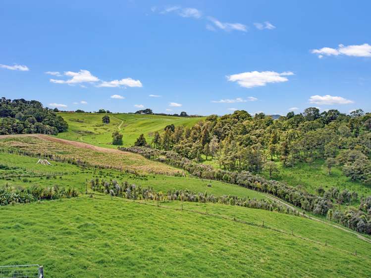 / Lot 3 Judd Road Maungaturoto_8