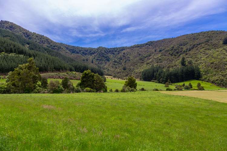 349 Anakiwa Road Anakiwa and Surrounds_18