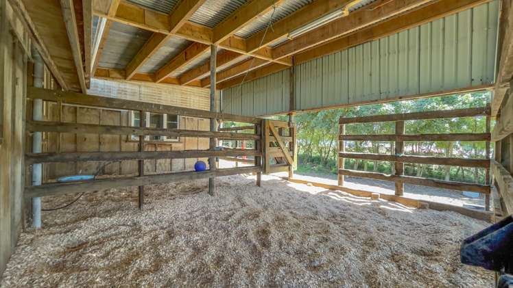 54 Pioneer Road Tahuna_3