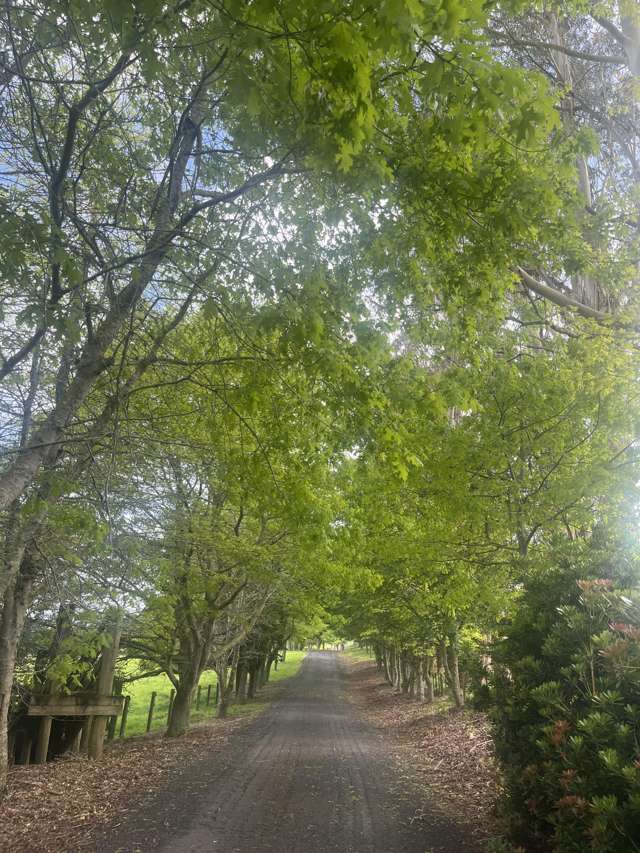 48A Sinclair Road Ararimu_2