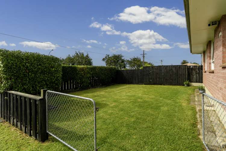 81 Mansels Road Greerton_1