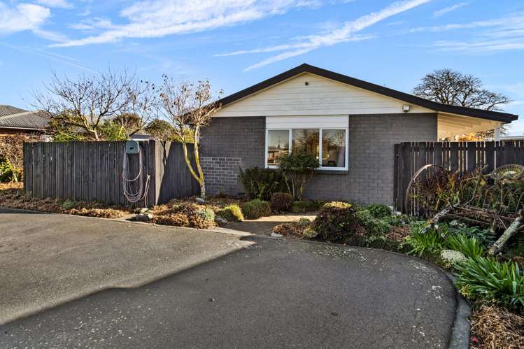 104 George Street Tinwald_22