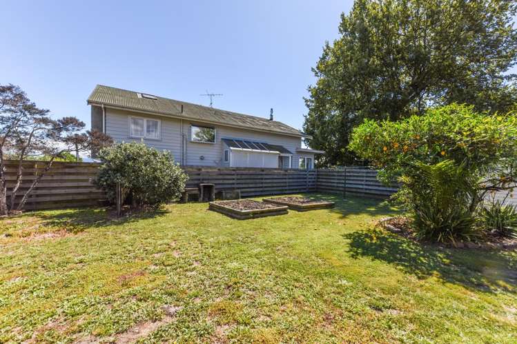 280 Nayland Road Stoke_7