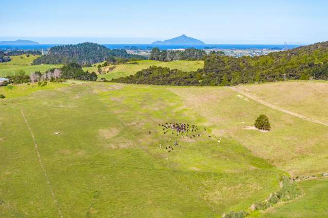 Lot Lot 4 Shieling Road Waipu_3
