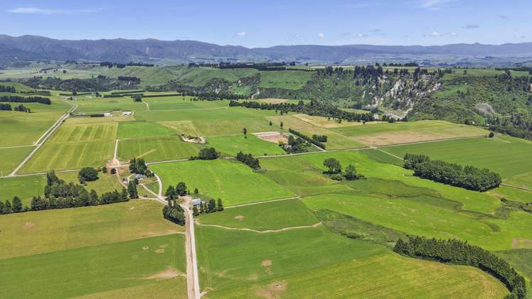 519 Main South Road Rangiwahia_21