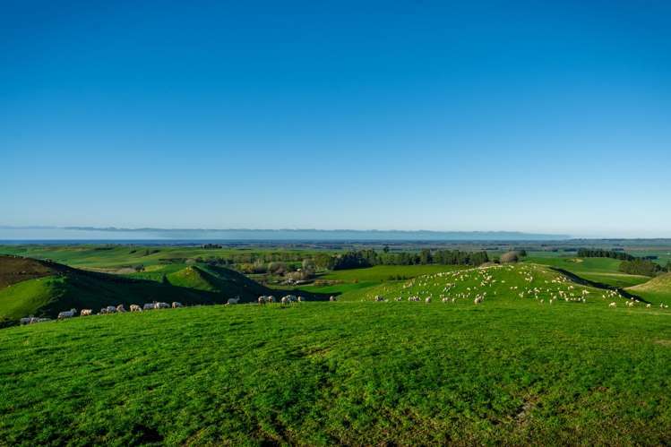 463 Dog Kennel Road Waimate_31