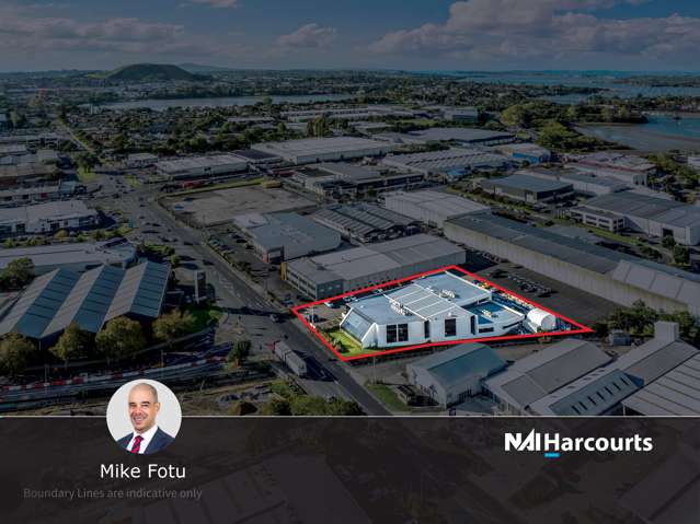 Rare Potential on Carbine Road