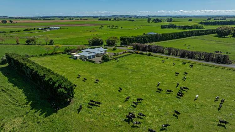 137 Soldiers Road Rongotea_20