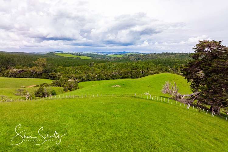 1509 Tinopai Road Tinopai_25