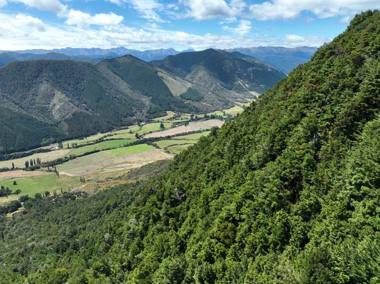 Tutaki Road South Murchison_6