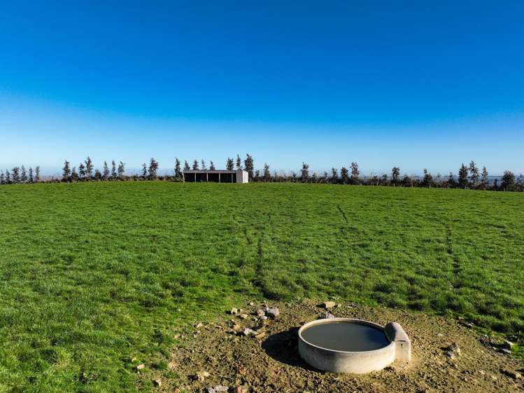 125B Davidson Road Mimihau_22