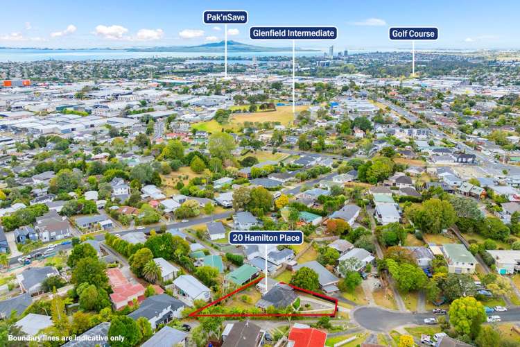 20 Hamilton Place Glenfield_12