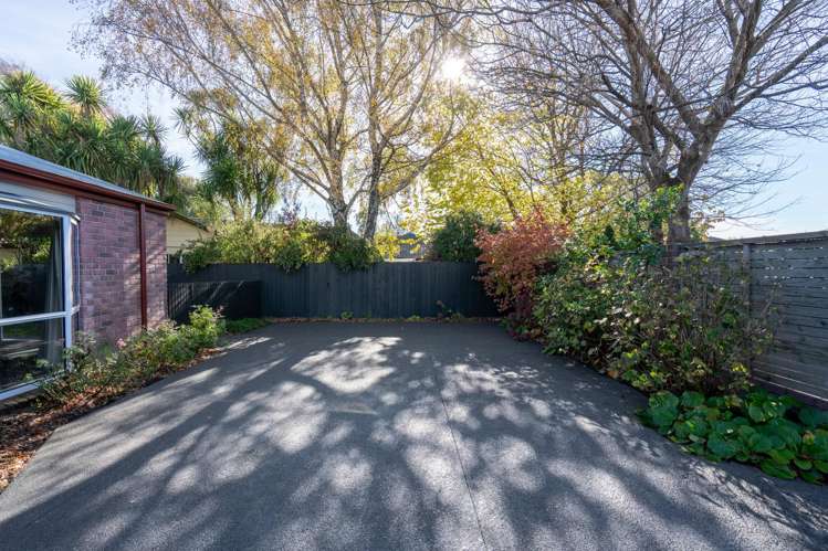 41a Winters Road Redwood_18