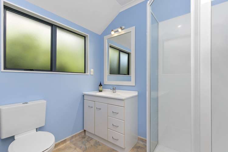 22b Collingwood Street Ngaio_7