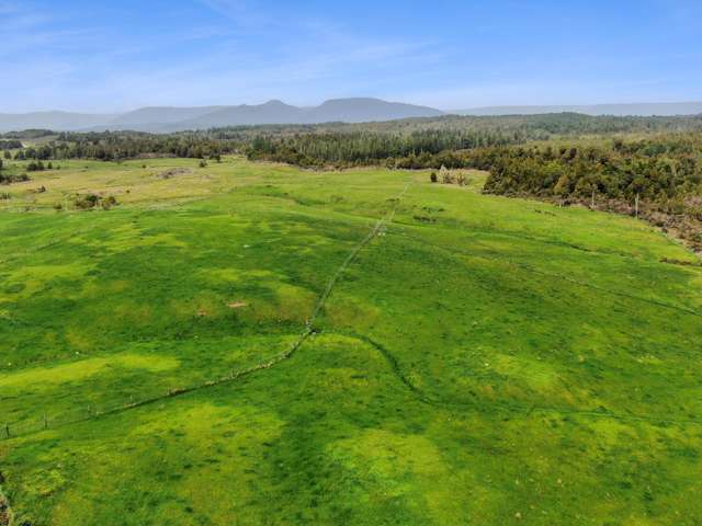 Lot 1 DP3404 Woodstock-Rimu Road Ruatapu_2