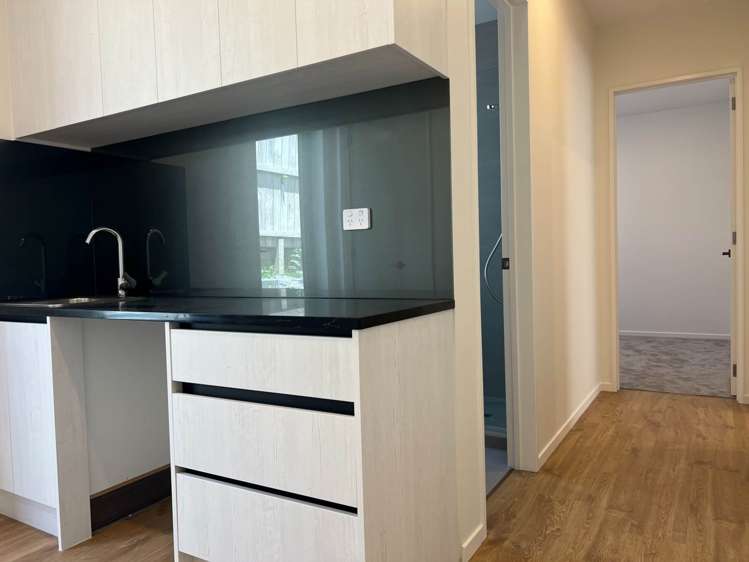 72 Drumbuoy Drive Flat Bush_10