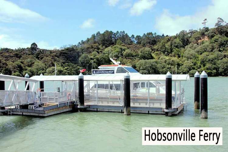 20 Memorial Park Lane Hobsonville_7