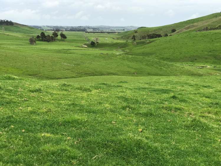 216 Morrison Road Arapohue_2